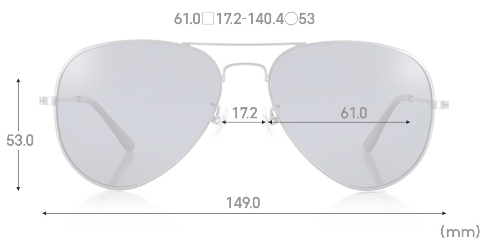 SG Polarized 860 - Image 3