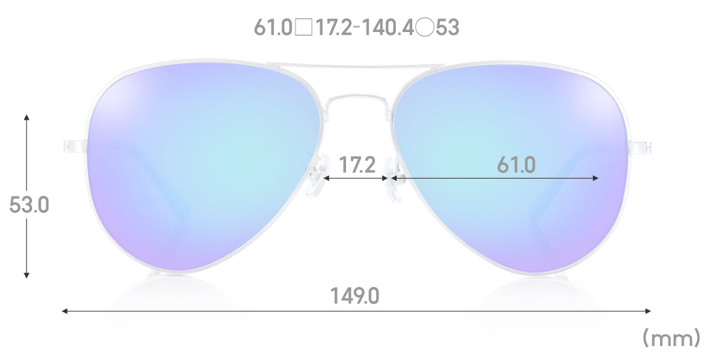SG Polarized 860 292P - Image 5
