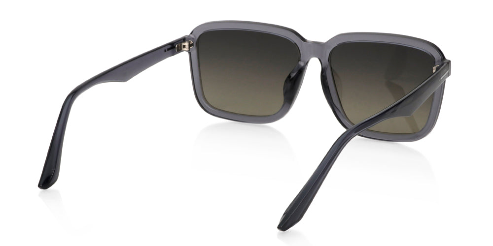 SG Polarized 153 - Image 4